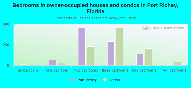 Bedrooms in owner-occupied houses and condos in Port Richey, Florida
