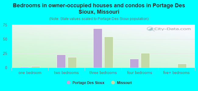 Bedrooms in owner-occupied houses and condos in Portage Des Sioux, Missouri