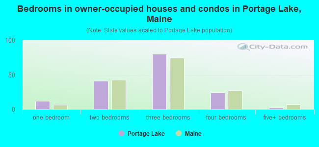 Bedrooms in owner-occupied houses and condos in Portage Lake, Maine