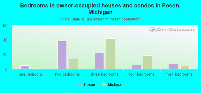 Bedrooms in owner-occupied houses and condos in Posen, Michigan