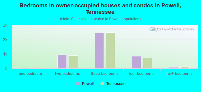 Bedrooms in owner-occupied houses and condos in Powell, Tennessee