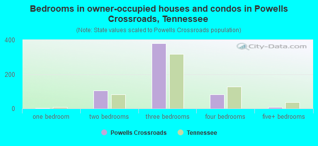 Bedrooms in owner-occupied houses and condos in Powells Crossroads, Tennessee