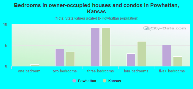 Bedrooms in owner-occupied houses and condos in Powhattan, Kansas