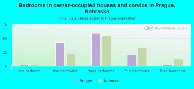 Bedrooms in owner-occupied houses and condos in Prague, Nebraska