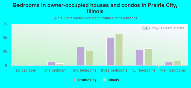 Bedrooms in owner-occupied houses and condos in Prairie City, Illinois