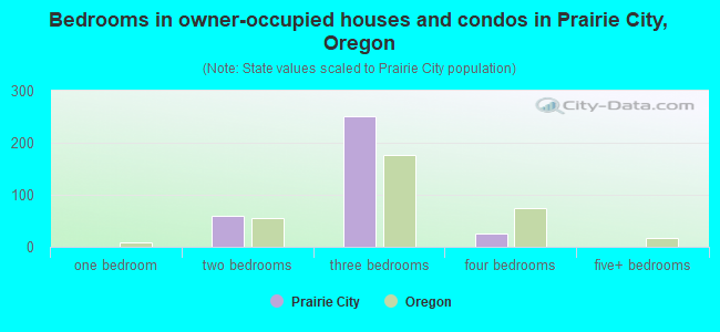 Bedrooms in owner-occupied houses and condos in Prairie City, Oregon