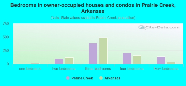 Bedrooms in owner-occupied houses and condos in Prairie Creek, Arkansas