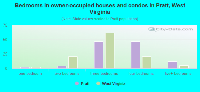 Bedrooms in owner-occupied houses and condos in Pratt, West Virginia