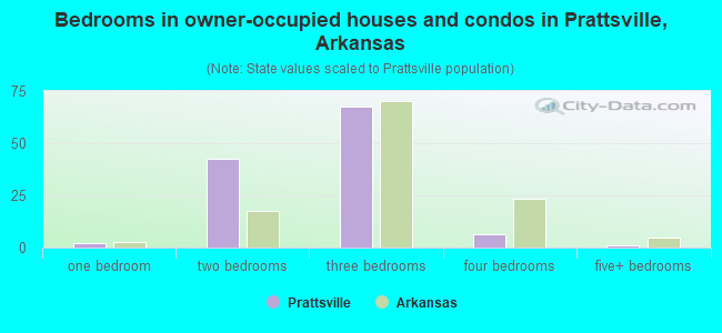 Bedrooms in owner-occupied houses and condos in Prattsville, Arkansas
