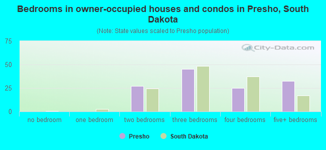 Bedrooms in owner-occupied houses and condos in Presho, South Dakota