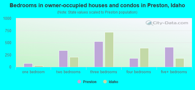 Bedrooms in owner-occupied houses and condos in Preston, Idaho