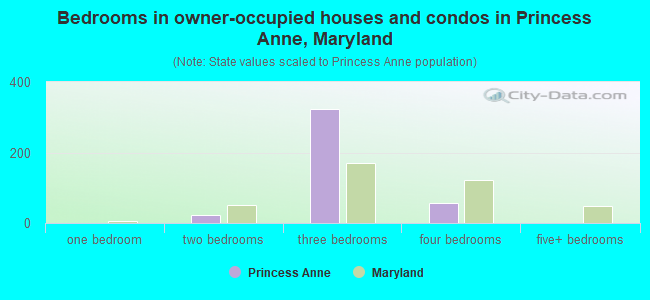Bedrooms in owner-occupied houses and condos in Princess Anne, Maryland