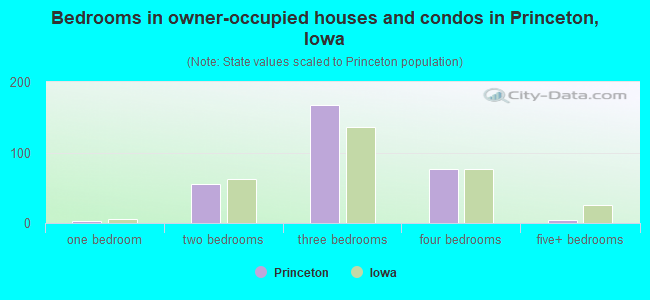Bedrooms in owner-occupied houses and condos in Princeton, Iowa