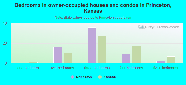 Bedrooms in owner-occupied houses and condos in Princeton, Kansas