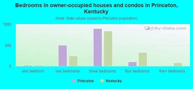 Bedrooms in owner-occupied houses and condos in Princeton, Kentucky