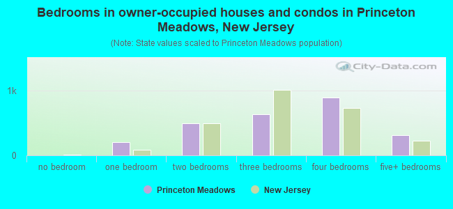 Bedrooms in owner-occupied houses and condos in Princeton Meadows, New Jersey