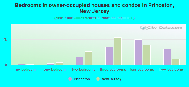 Bedrooms in owner-occupied houses and condos in Princeton, New Jersey