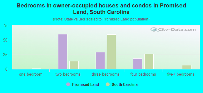 Bedrooms in owner-occupied houses and condos in Promised Land, South Carolina