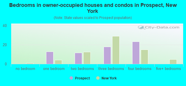 Bedrooms in owner-occupied houses and condos in Prospect, New York