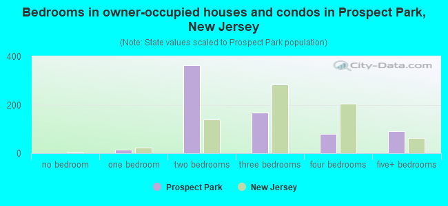 Bedrooms in owner-occupied houses and condos in Prospect Park, New Jersey
