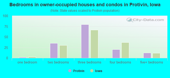 Bedrooms in owner-occupied houses and condos in Protivin, Iowa