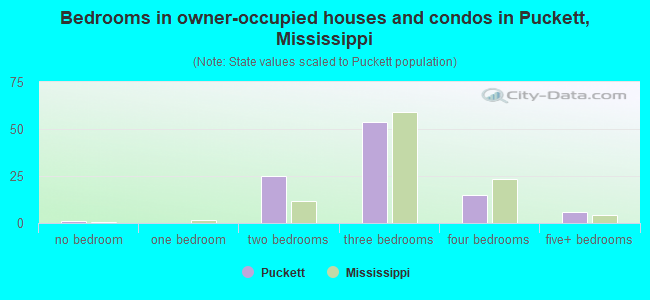 Bedrooms in owner-occupied houses and condos in Puckett, Mississippi