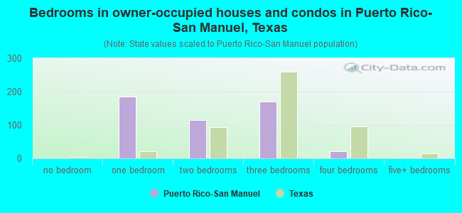 Bedrooms in owner-occupied houses and condos in Puerto Rico-San Manuel, Texas