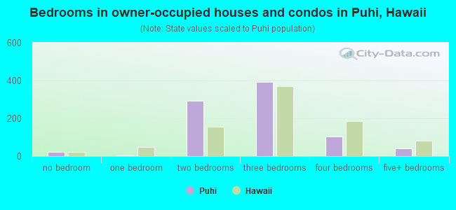 Bedrooms in owner-occupied houses and condos in Puhi, Hawaii