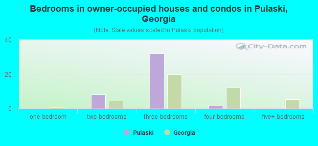 Bedrooms in owner-occupied houses and condos in Pulaski, Georgia