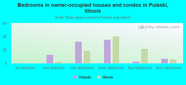 Bedrooms in owner-occupied houses and condos in Pulaski, Illinois
