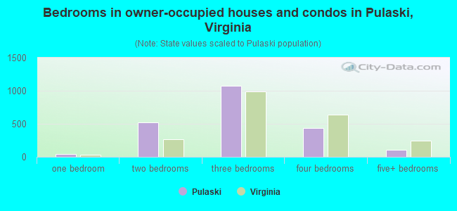 Bedrooms in owner-occupied houses and condos in Pulaski, Virginia