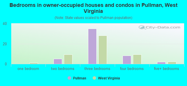 Bedrooms in owner-occupied houses and condos in Pullman, West Virginia