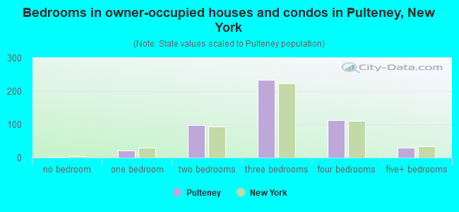 Bedrooms in owner-occupied houses and condos in Pulteney, New York