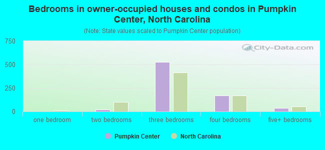 Bedrooms in owner-occupied houses and condos in Pumpkin Center, North Carolina