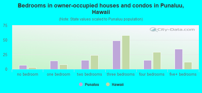 Bedrooms in owner-occupied houses and condos in Punaluu, Hawaii