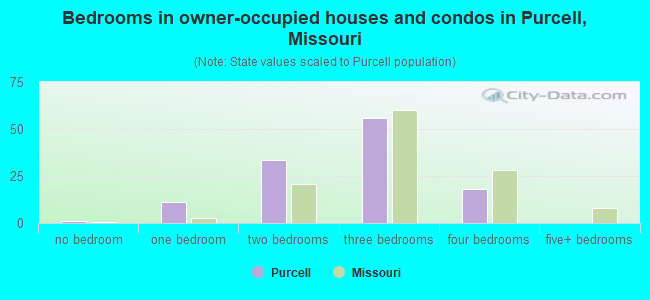 Bedrooms in owner-occupied houses and condos in Purcell, Missouri