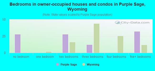 Bedrooms in owner-occupied houses and condos in Purple Sage, Wyoming