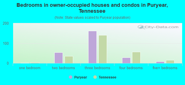 Bedrooms in owner-occupied houses and condos in Puryear, Tennessee