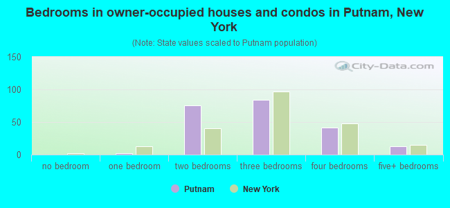 Bedrooms in owner-occupied houses and condos in Putnam, New York