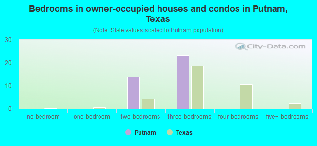 Bedrooms in owner-occupied houses and condos in Putnam, Texas