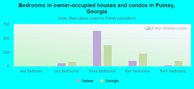 Bedrooms in owner-occupied houses and condos in Putney, Georgia