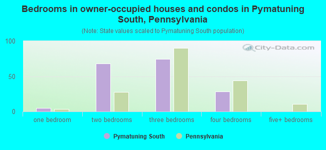 Bedrooms in owner-occupied houses and condos in Pymatuning South, Pennsylvania