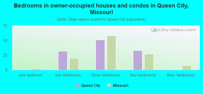 Bedrooms in owner-occupied houses and condos in Queen City, Missouri