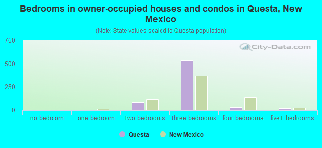 Bedrooms in owner-occupied houses and condos in Questa, New Mexico