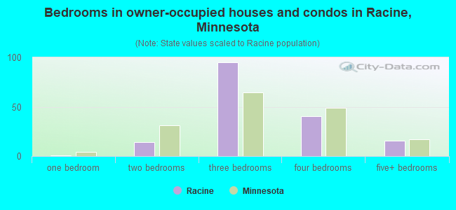 Bedrooms in owner-occupied houses and condos in Racine, Minnesota