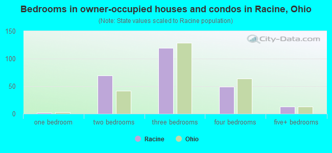 Bedrooms in owner-occupied houses and condos in Racine, Ohio