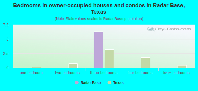 Bedrooms in owner-occupied houses and condos in Radar Base, Texas