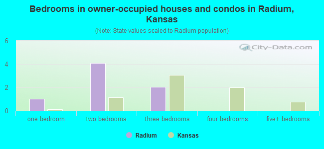 Bedrooms in owner-occupied houses and condos in Radium, Kansas