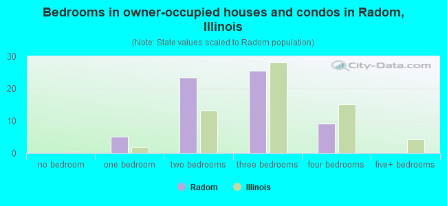 Bedrooms in owner-occupied houses and condos in Radom, Illinois