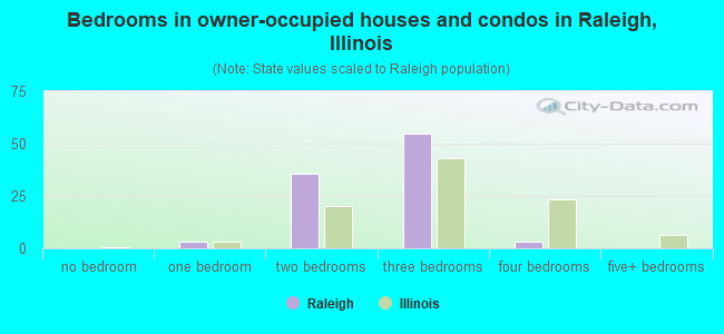 Bedrooms in owner-occupied houses and condos in Raleigh, Illinois